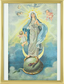 BILD IMMACULATA (Unbefleckte Empfängnis)