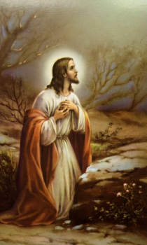 BILDCHEN JESU AM ÖLBERG