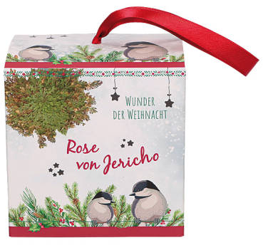 ROSE VON JERICHO in Dekobox
