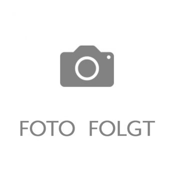 JUNIKÄFER FLIEG